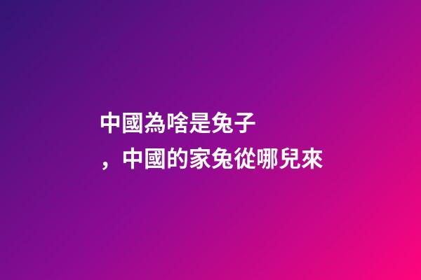 中國為啥是兔子，中國的家兔從哪兒來-第1張-觀點-玄機派